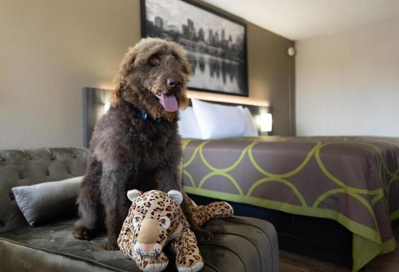 스탠다드 룸 킹사이즈 침대, Super 8 By Wyndham Mcdonough Ga