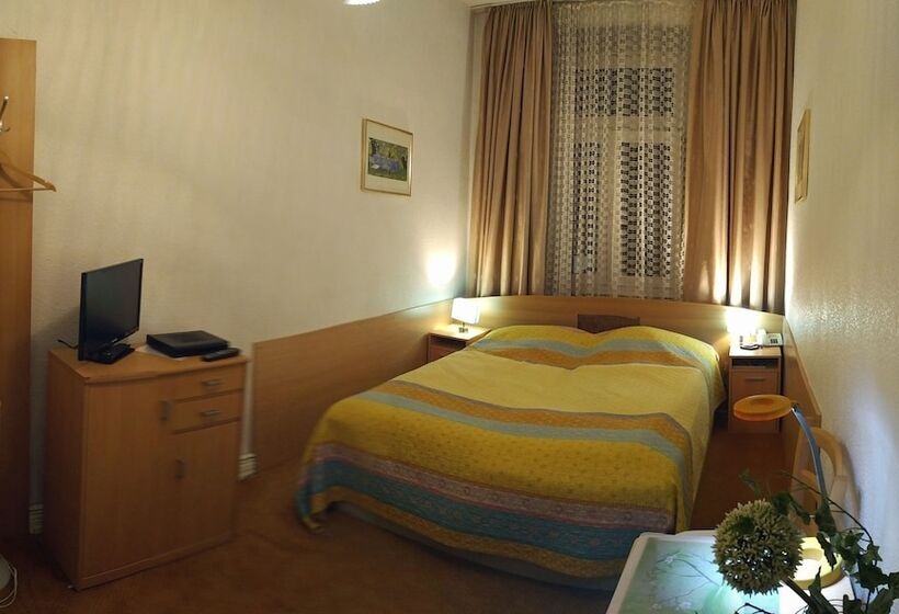 חדר ביזנס, Central Galerie Hotel Am Beethoven Haus