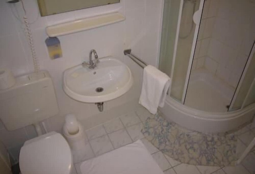 חדר פרמיום, Central Galerie Hotel Am Beethoven Haus