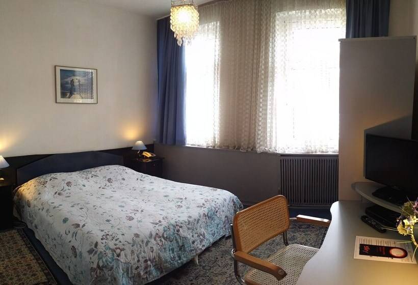 Номер бизнес-класса, Central Galerie Hotel Am Beethoven Haus