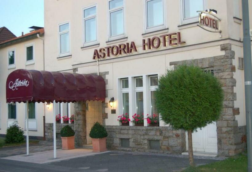 Номер Стандарт Индивидуальный, Astoria