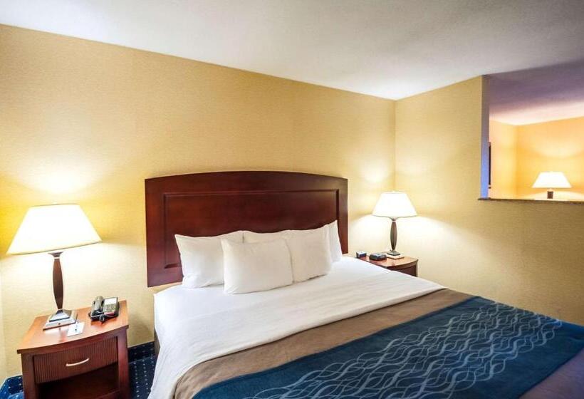 キングサイズベッドのスイートルーム, Comfort Inn & Suites