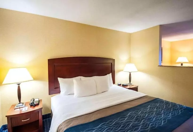 キングサイズベッドのスイートルーム, Comfort Inn & Suites