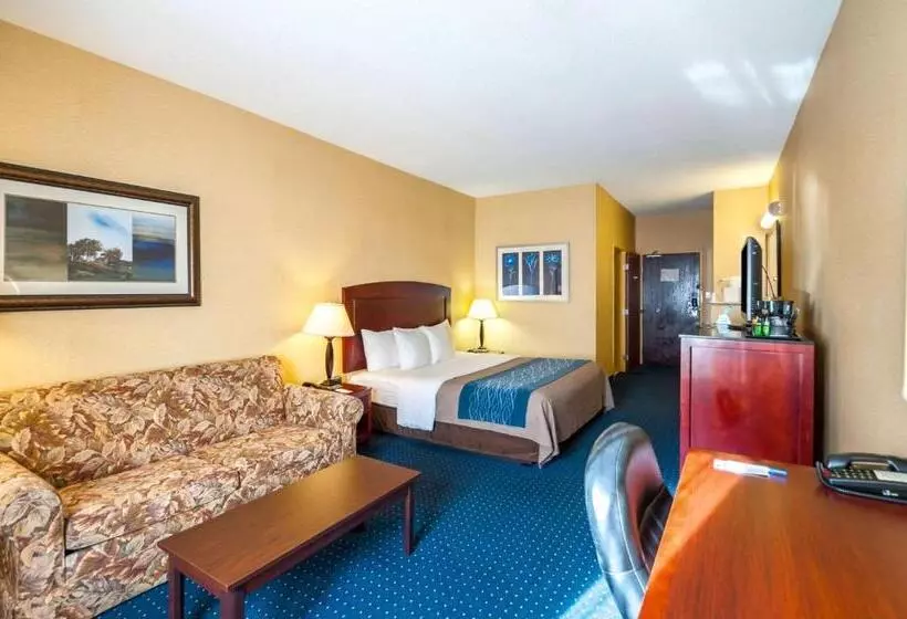 キングサイズベッドのスタンダードルーム, Comfort Inn & Suites