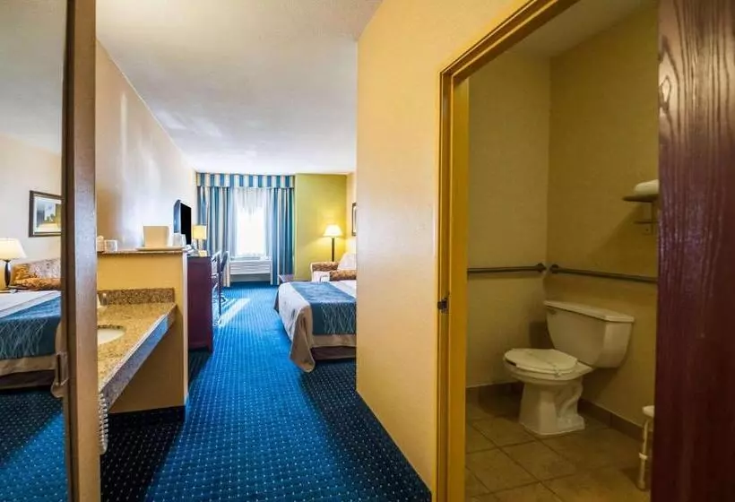 キングサイズベッドのスタンダードルーム, Comfort Inn & Suites