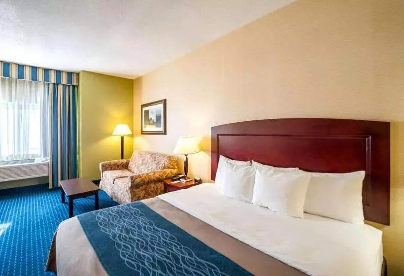 キングサイズベッドのスタンダードルーム, Comfort Inn & Suites