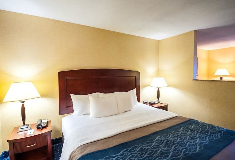 Люкс, Comfort Inn & Suites