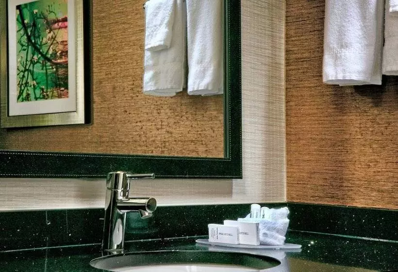 エクゼクティブスイート, Fairfield Inn & Suites By Marriott Dover