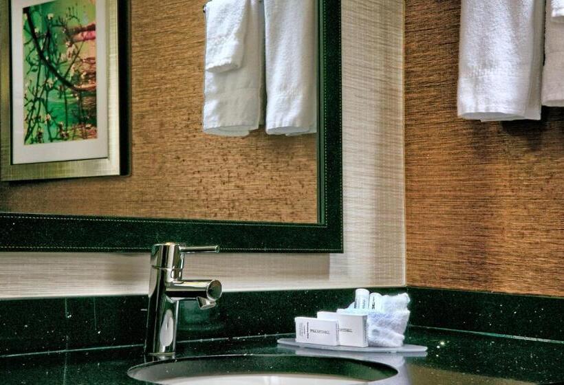 غرفة قياسية سرير كينج, Fairfield Inn & Suites By Marriott Dover