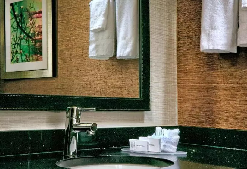 キングサイズベッドのスタンダードルーム, Fairfield Inn & Suites By Marriott Dover