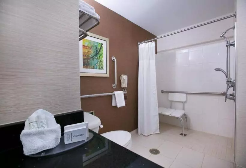 キングサイズベッドのスタンダードルーム, Fairfield Inn & Suites By Marriott Dover