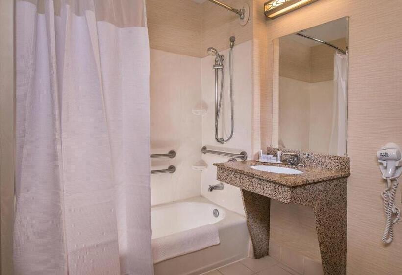 اتاق استاندارد با تخت بزرگ, Fairfield Inn Dulles Airport Chantilly
