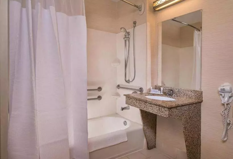 身障者適用キングサイズベッドルーム, Fairfield Inn Dulles Airport Chantilly