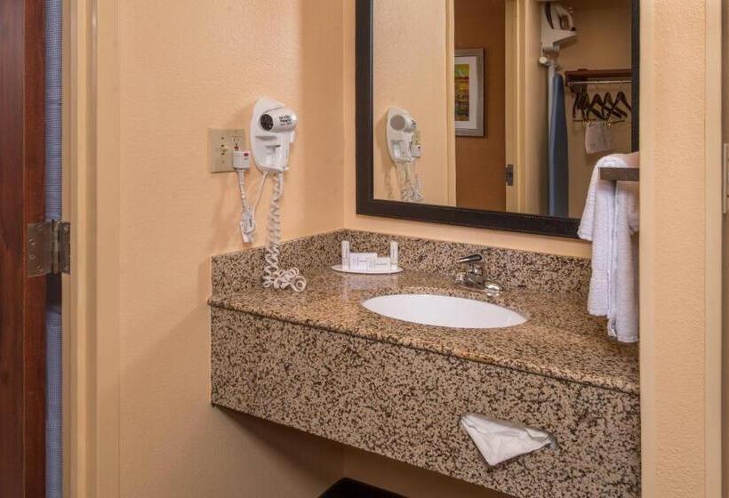 اتاق استاندارد با تخت بزرگ برای معلولان, Fairfield Inn Dulles Airport Chantilly