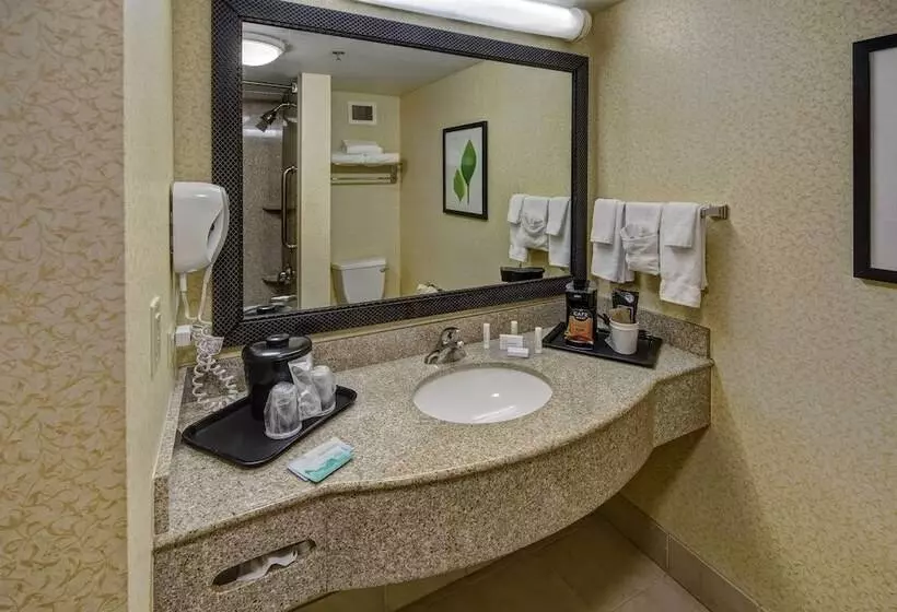 エクゼクティブスイート, Stones River Inn & Suites
