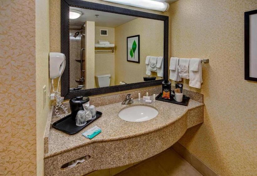 キングサイズベッドのスタンダードルーム, Stones River Inn & Suites