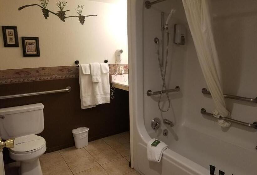 Suite Przystosowany dla Osób Niepełnosprawnych, Fireside Lodge