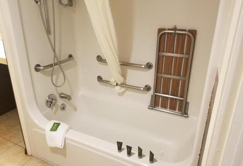 适合残疾人士使用的套间, Fireside Lodge