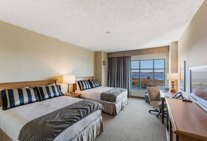 غرفة ديلوكس, Hollywood Casino Gulf Coast