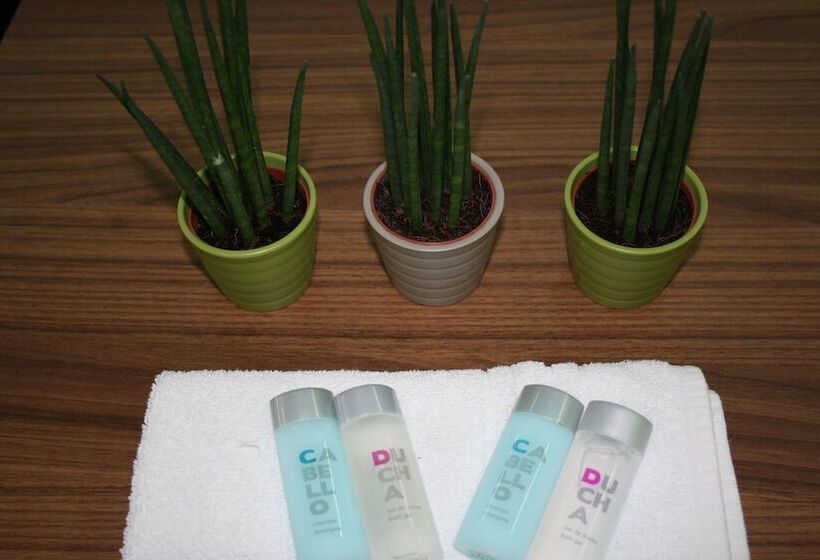 اتاق استاندارد یک نفره, Hostal La Estacion