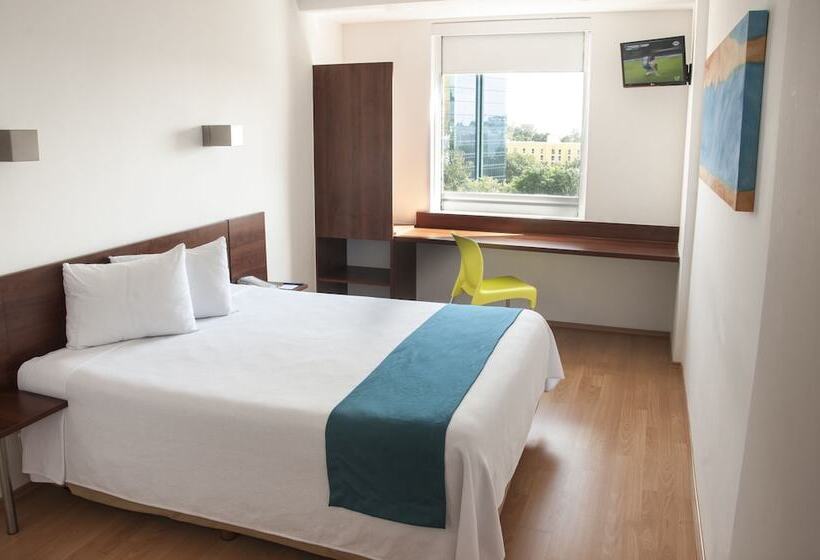 חדר סופריור, One Xalapa Las Animas