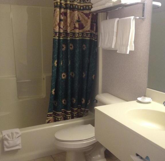 اتاق استاندارد, Parkside Inn Bridgeview