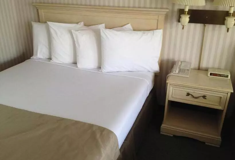 スタンダードルーム, Parkside Inn Bridgeview