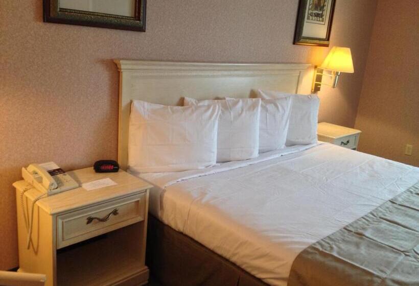 Стандартный Номер Кровать Кинг, Parkside Inn Bridgeview