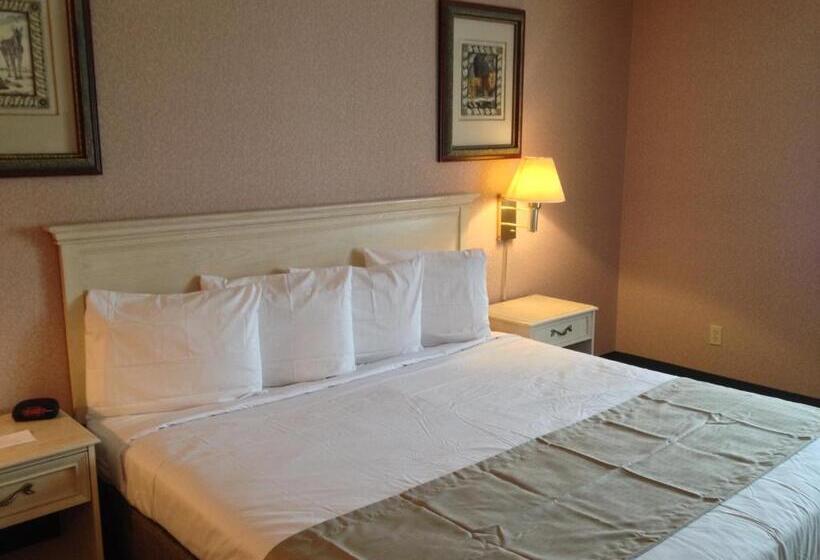 اتاق استاندارد با تخت بزرگ, Parkside Inn Bridgeview