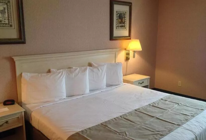 キングサイズベッドのスタンダードルーム, Parkside Inn Bridgeview