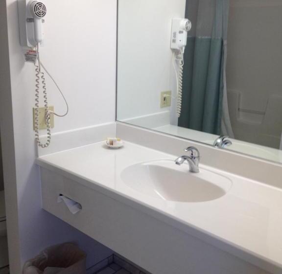 اتاق استاندارد با تخت دو نفره بزرگ, Parkside Inn Bridgeview