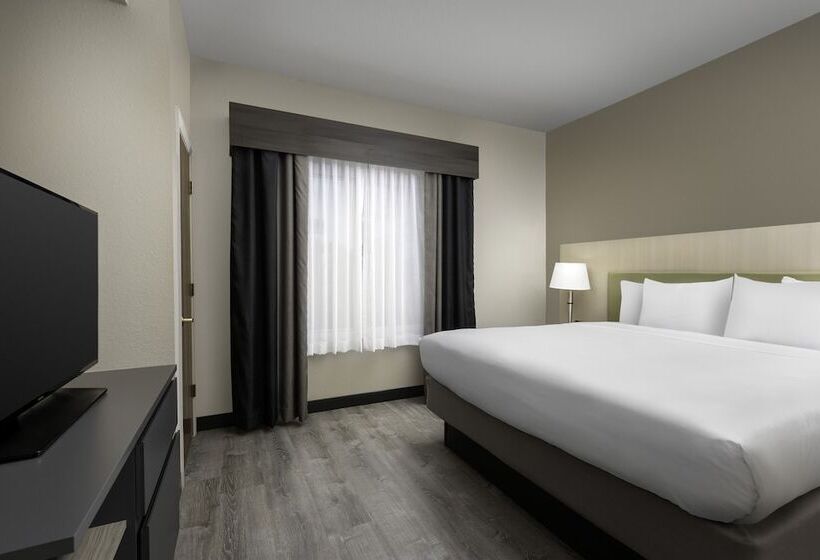 스위트, Country Inn & Suites By Radisson, Gainesville, Fl