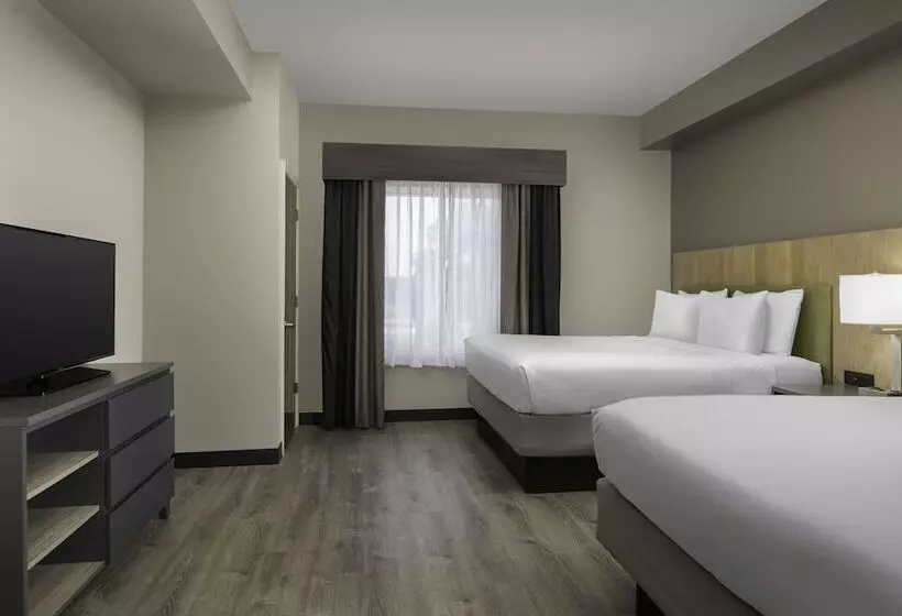 スイート, Country Inn & Suites By Radisson, Gainesville, Fl