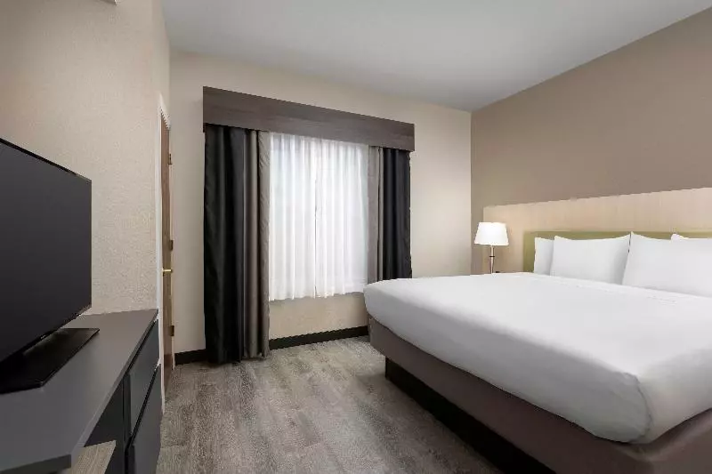 キングサイズベッドのスイートルーム, Country Inn & Suites By Radisson, Gainesville, Fl