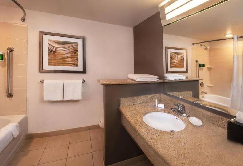 חדר סטנדרט עם מיטת קינג, Courtyard Dunn Loring Fairfax