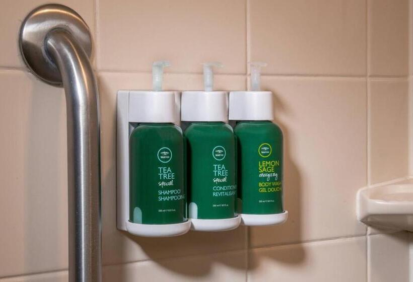 חדר סטנדרט, Courtyard Dunn Loring Fairfax