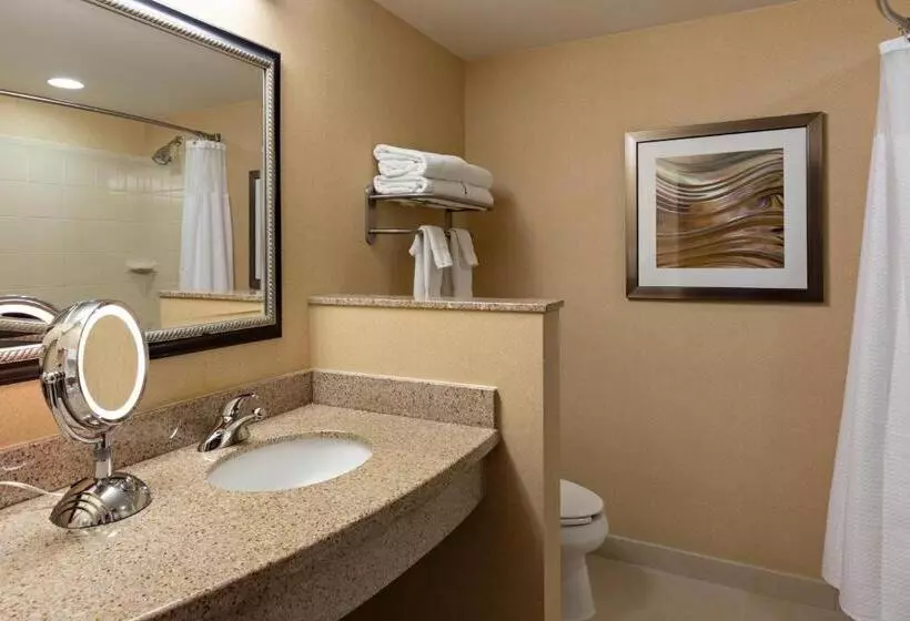 キングサイズベッドのスタンダードルーム, Courtyard By Marriott Harrisburg Hershey
