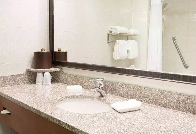 デラックスルーム, Drury Inn & Suites Birmingham Lakeshore Drive