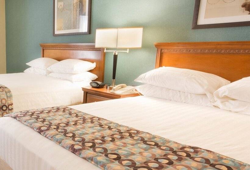 장애인용 디럭스룸, Drury Inn & Suites Birmingham Lakeshore Drive