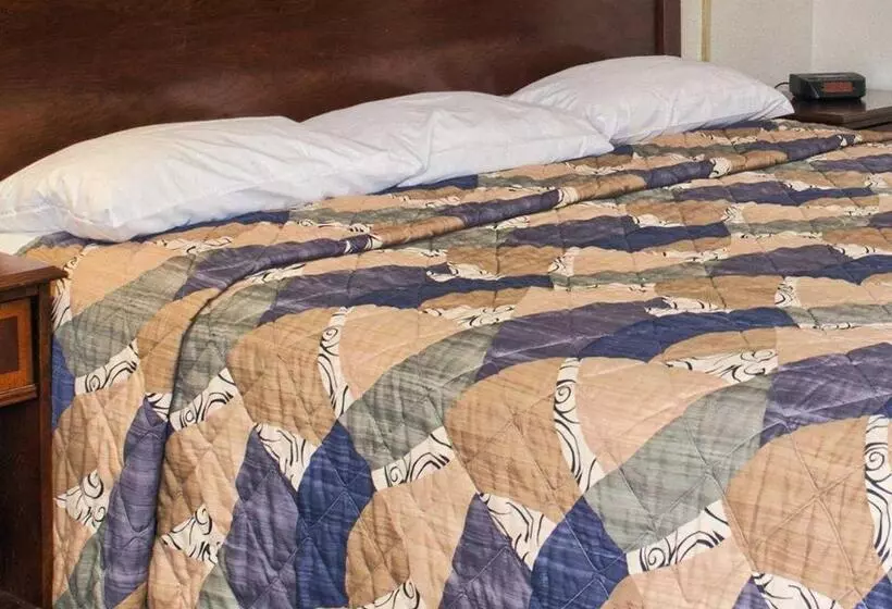 キングサイズベッドのスタンダードルーム, Rodeway Inn  Richmond
