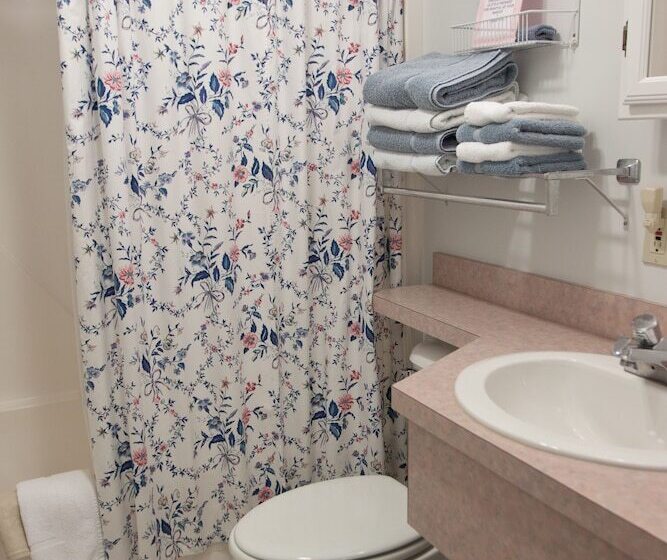 带2个双人床的标准工作室, Mount Battie Inn