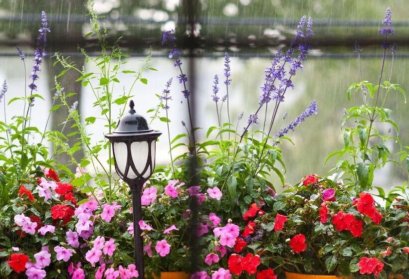 家庭套房, Mount Battie Inn