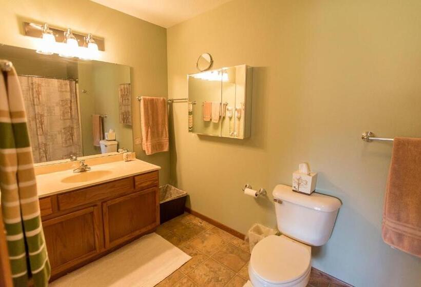 شقة غرفة واحدة, Wild Eagle Lodge