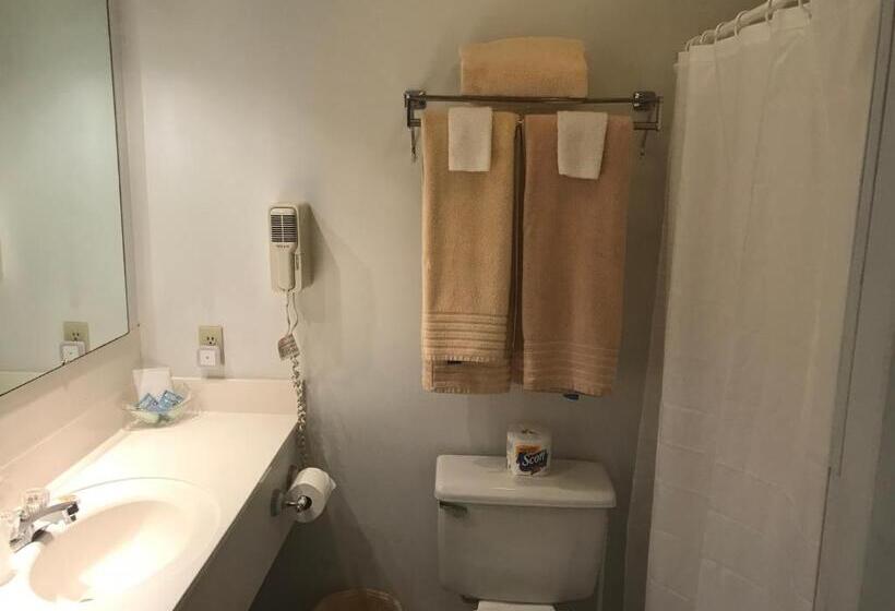 חדר דחוקס עם מיטת קינג, Longhouse Lodge Motel