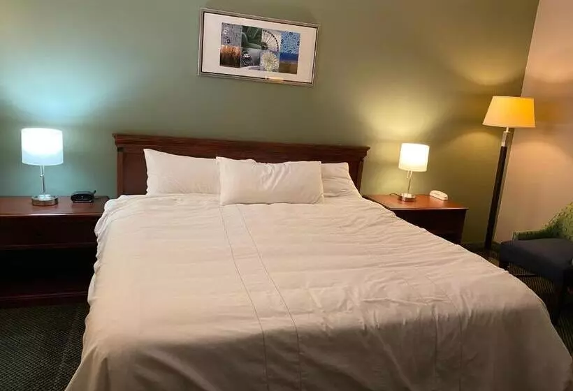 キングサイズベッドのスタンダードルーム, Diamond Motel Abilene