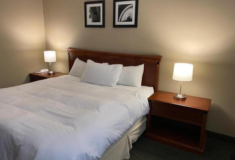 غرفة قياسية سرير كينج, Diamond Motel  Abilene