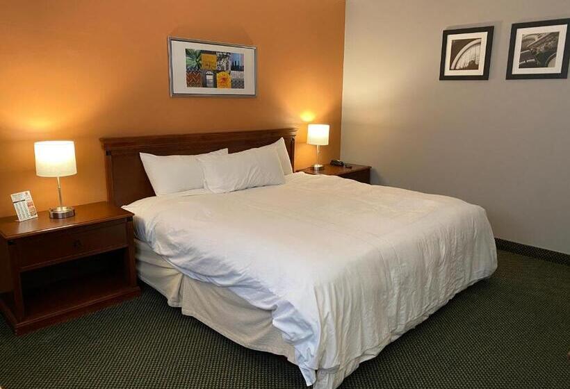 غرفة قياسية سرير كينج, Diamond Motel  Abilene