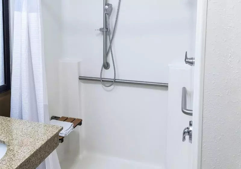 キングサイズベッドのスタンダードルーム, Fairfield Inn & Suites Marianna