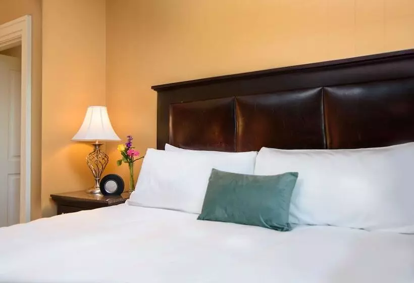 プレミアムルーム, Craddock Terry Hotel, Lynchburg, A Tribute Portfolio