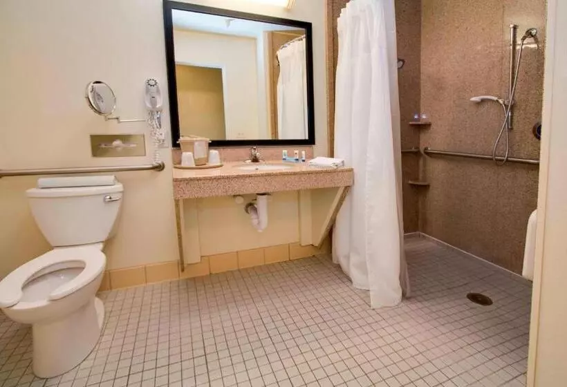スタンダードルーム, Fairfield Inn & Suites By Marriott Clermont